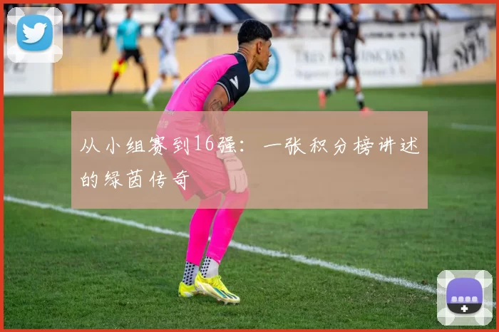 从小组赛到16强:一张积分榜讲述的绿茵传奇