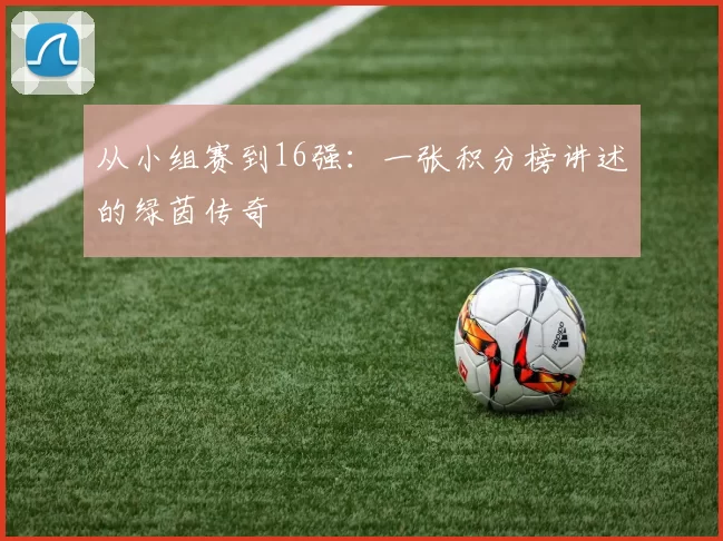 从小组赛到16强:一张积分榜讲述的绿茵传奇