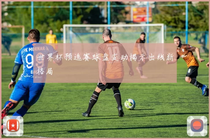 世界杯预选赛球盘变动揭示出线新格局