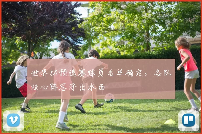 世界杯预选赛球员名单确定,各队核心阵容浮出水面