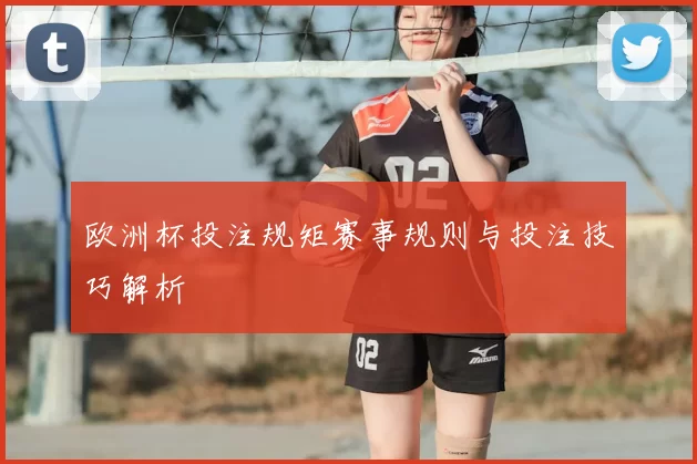 欧洲杯投注规矩赛事规则与投注技巧解析