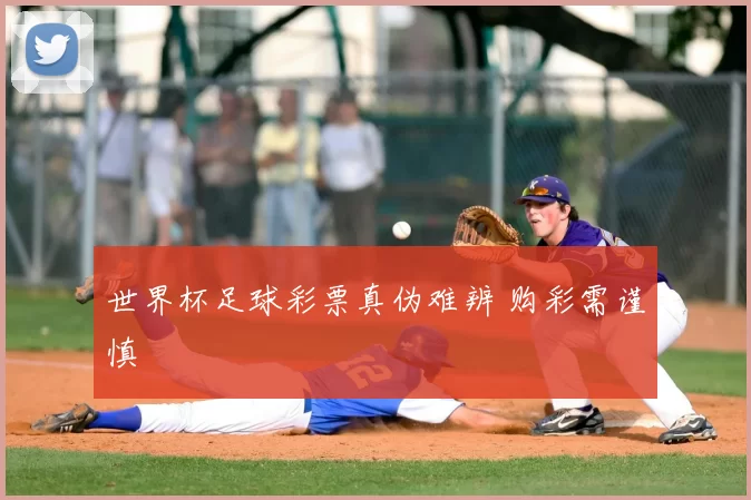 世界杯足球彩票真伪难辨 购彩需谨慎