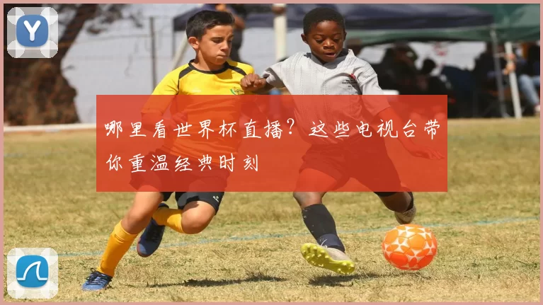 哪里看世界杯直播？这些电视台带你重温经典时刻
